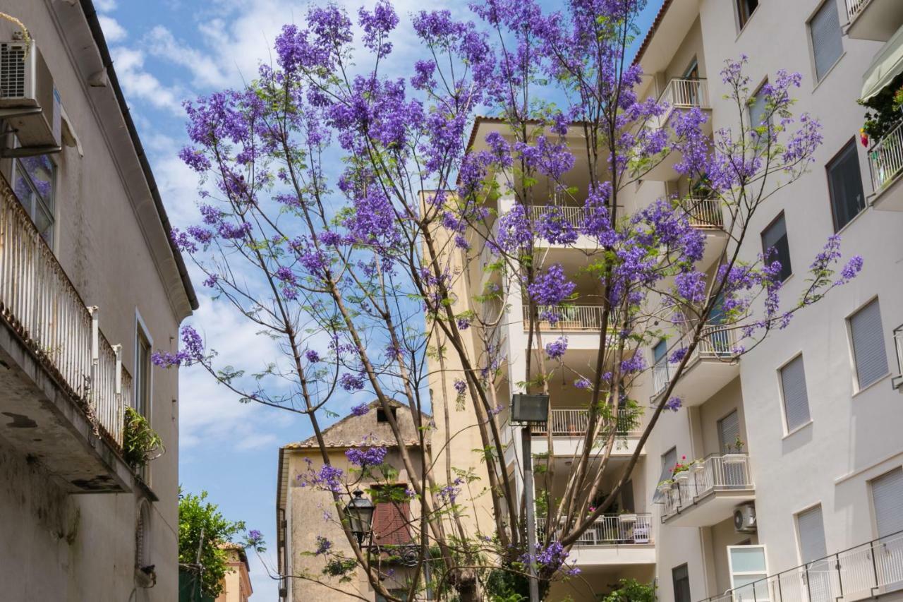 Sorrentovibes - Luxury Four Bedroom With Amazing Terraces In 2*